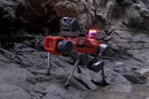 new study shows robot dogs could transform planetary exploration