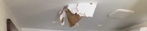 large chunk of ice crashes through roof & lands on couch