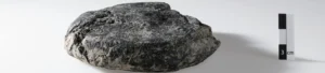 2,000 year old bread discovered under construction site