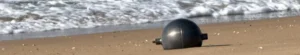 mysterious balls wash up on Australian beaches