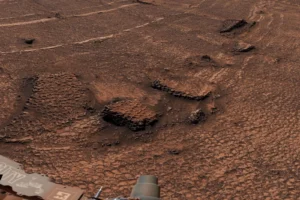 mars rover finds a vast area of strange honeycomb patterns