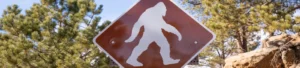 July Bigfoot sighting in Connecticut is one of many in New England area