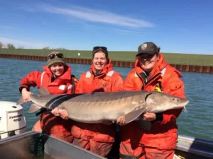 Great Lakes fish known as living dinosaurs may live to be over 400 yrs old