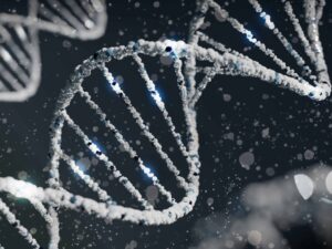 new study reveals how much personality comes from dna