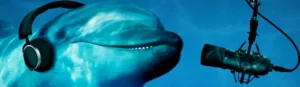 could AI help humans communicate with animals