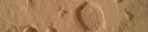 rover spots footprints on mars