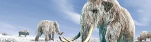 company trying to resurrect wholly mammoth says it will take longer than expected