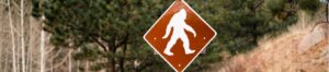 Maine Bigfoot sighting turns out to be man in a costume
