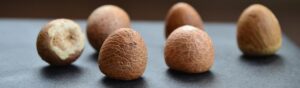 new evidence shows humans were using psychoactive substance 25,000 yrs ago