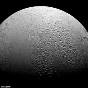 Saturns moon Enceladus could harbor alien life say scientists