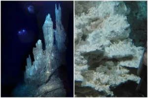 hydrothermal field dubbed the lost city is discovered in the Atlantic