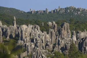 giant sinkholes containing ancient forests is discovered