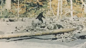 new documentary claims famous Bigfoot footage was a hoax